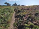 Lande entre Trez Rouz et Nautino